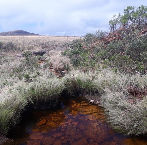 Nascente Rio São Francisco