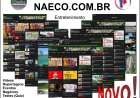 Novo Site do Portal Naeco