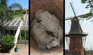 Aceita este desafio?