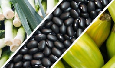 Qual destes produtos é uma leguminosa?