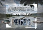 Aquacultura - Fazenda de Peixes