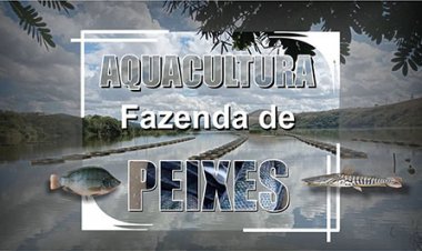 Aquacultura - Fazenda de Peixes