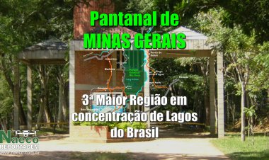 Pantanal de Minas Gerais