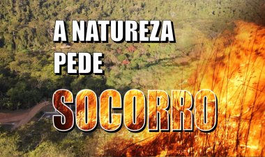 Incêndios Florestais