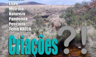 Álbum Criações - Download Grátis