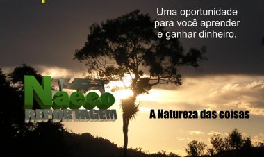 Repórter de Bairros e distritos