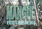 Mangues – ES