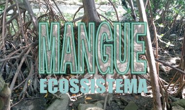 Mangues – ES