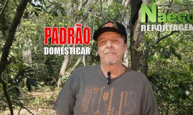 Padrão - Domesticar