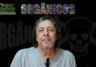 Orgânicos