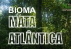 Bioma de Mata Atlântica