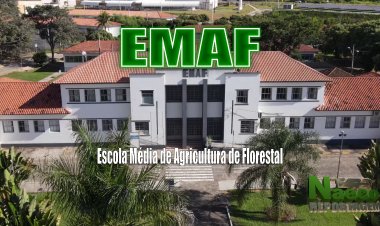 EMAF - Escola Média de Agricultura de Florestal