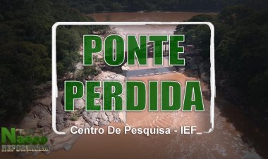 Ponte Perdida - Revés do Belém - MG