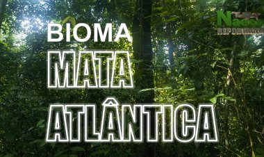 Bioma de Mata Atlântica